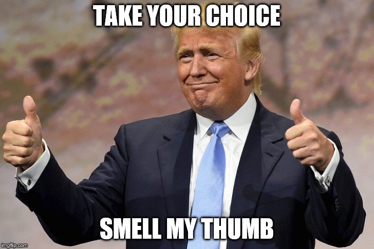 trump thumb up 2 | TAKE YOUR CHOICE; SMELL MY THUMB | image tagged in trump thumb up 2 | made w/ Imgflip meme maker