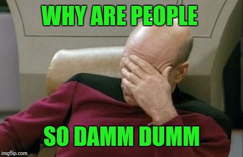 Captain Picard Facepalm Meme | WHY ARE PEOPLE SO DAMM DUMM | image tagged in memes,captain picard facepalm | made w/ Imgflip meme maker