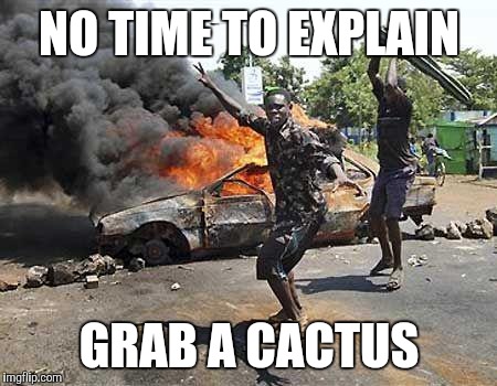 Grab a cactus | NO TIME TO EXPLAIN; GRAB A CACTUS | image tagged in grab a cactus | made w/ Imgflip meme maker