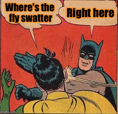 Batman Slapping Robin Meme | Where's the fly swatter; Right here | image tagged in memes,batman slapping robin | made w/ Imgflip meme maker