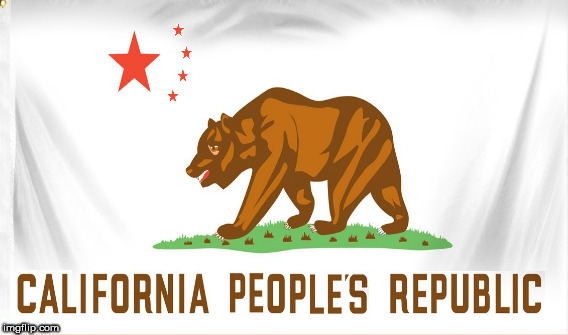California Politics | image tagged in politics | made w/ Imgflip meme maker