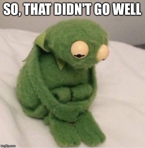Sad Kermit | SO, THAT DIDN'T GO WELL | image tagged in sad kermit | made w/ Imgflip meme maker