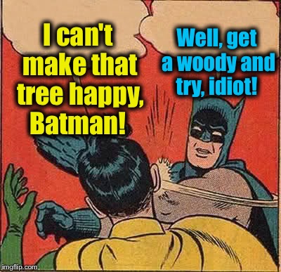 Batman Slapping Robin Meme | I can't make that tree happy, Batman! Well, get a woody and try, idiot! | image tagged in memes,batman slapping robin | made w/ Imgflip meme maker