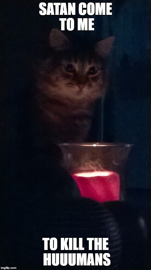 Dark Cat takes revenge on huuumans | SATAN COME TO ME; TO KILL THE HUUUMANS | image tagged in cat meme | made w/ Imgflip meme maker