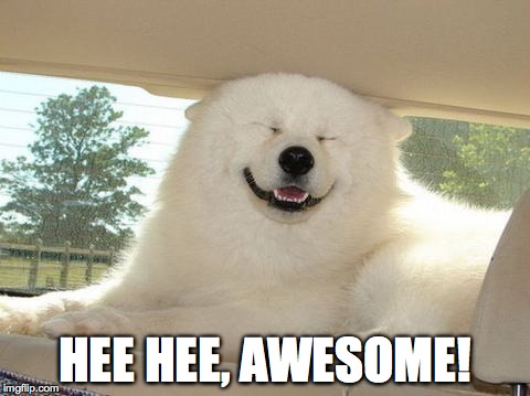 HEE HEE, AWESOME! | made w/ Imgflip meme maker