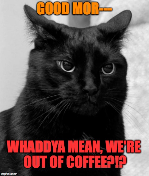 Need Coffee Yesterday! | GOOD MOR---; WHADDYA MEAN, WE'RE OUT OF COFFEE?!? | image tagged in pissed off kitty | made w/ Imgflip meme maker