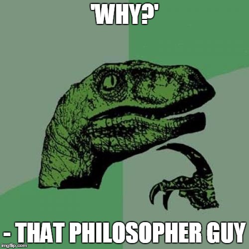 Philosoraptor Meme | 'WHY?'; - THAT PHILOSOPHER GUY | image tagged in memes,philosoraptor | made w/ Imgflip meme maker