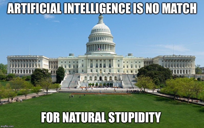 capitol hill | ARTIFICIAL INTELLIGENCE IS NO MATCH; FOR NATURAL STUPIDITY | image tagged in capitol hill | made w/ Imgflip meme maker