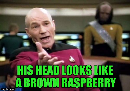 Picard Wtf Meme | HIS HEAD LOOKS LIKE A BROWN RASPBERRY | image tagged in memes,picard wtf | made w/ Imgflip meme maker