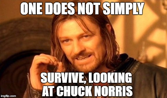 One Does Not Simply Meme | ONE DOES NOT SIMPLY; SURVIVE, LOOKING AT CHUCK NORRIS | image tagged in memes,one does not simply | made w/ Imgflip meme maker