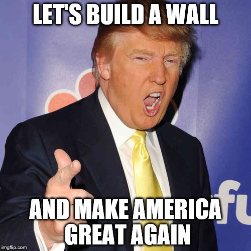donald trump | LET'S BUILD A WALL; AND MAKE AMERICA GREAT AGAIN | image tagged in donald trump | made w/ Imgflip meme maker