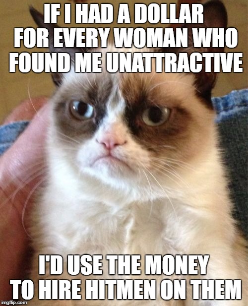 Grumpy Cat Meme | IF I HAD A DOLLAR FOR EVERY WOMAN WHO FOUND ME UNATTRACTIVE I'D USE THE MONEY TO HIRE HITMEN ON THEM | image tagged in memes,grumpy cat | made w/ Imgflip meme maker