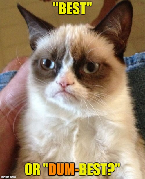 Grumpy Cat Meme | "BEST" OR "DUM-BEST?" DUM- | image tagged in memes,grumpy cat | made w/ Imgflip meme maker