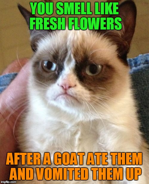 Eau de Grumpy Cat (⊙ₒ⊙) | YOU SMELL LIKE FRESH FLOWERS; AFTER A GOAT ATE THEM AND VOMITED THEM UP | image tagged in memes,grumpy cat,flowers,compliment,grumpy cat insults,grumpy cat turns a compliment into an insult | made w/ Imgflip meme maker