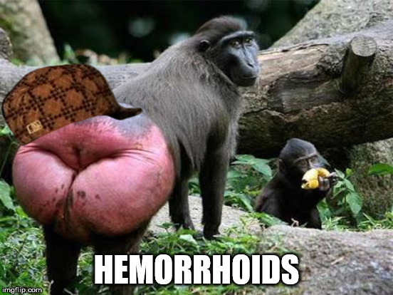HEMORRHOIDS | made w/ Imgflip meme maker