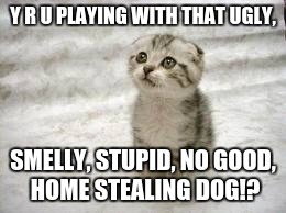 Sad Cat Meme | Y R U PLAYING WITH THAT UGLY, SMELLY, STUPID, NO GOOD, HOME STEALING DOG!? | image tagged in memes,sad cat | made w/ Imgflip meme maker