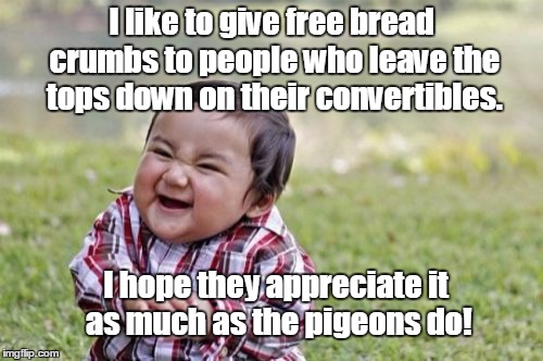This gift is for the birds! | I like to give free bread crumbs to people who leave the tops down on their convertibles. I hope they appreciate it as much as the pigeons do! | image tagged in memes,evil toddler,pigeons,birds,convertible | made w/ Imgflip meme maker