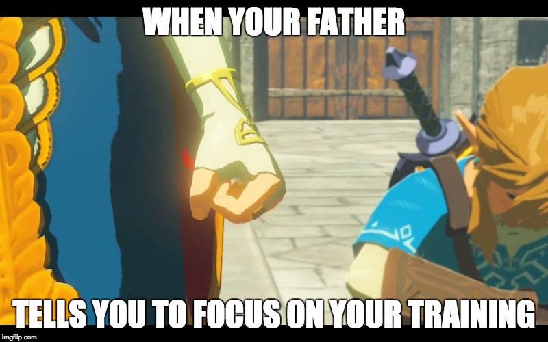 Zelda Fist | WHEN YOUR FATHER; TELLS YOU TO FOCUS ON YOUR TRAINING | image tagged in zelda fist | made w/ Imgflip meme maker