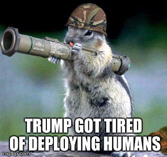 Bazooka Squirrel Meme | TRUMP GOT TIRED OF DEPLOYING HUMANS | image tagged in memes,bazooka squirrel | made w/ Imgflip meme maker