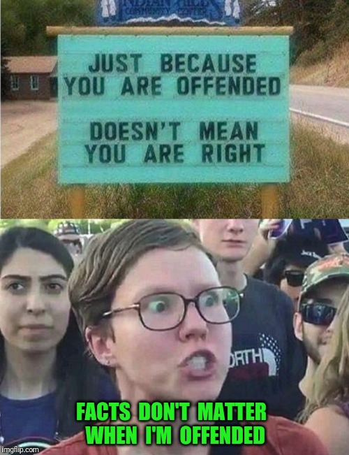Sign of the times | FACTS  DON'T  MATTER  WHEN  I'M  OFFENDED | image tagged in triggered,butthurt liberals | made w/ Imgflip meme maker