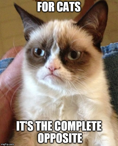 Grumpy Cat Meme | FOR CATS IT'S THE COMPLETE OPPOSITE | image tagged in memes,grumpy cat | made w/ Imgflip meme maker