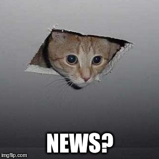 Ceiling Cat Meme | NEWS? | image tagged in memes,ceiling cat | made w/ Imgflip meme maker