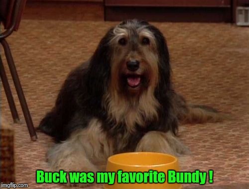 Buck Bundy | Buck was my favorite Bundy ! | image tagged in buck bundy | made w/ Imgflip meme maker