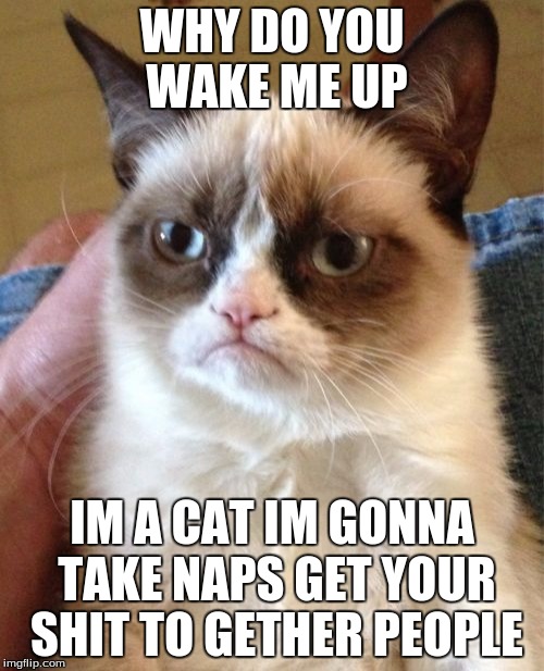 Grumpy Cat | WHY DO YOU WAKE ME UP; IM A CAT IM GONNA TAKE NAPS GET YOUR SHIT TO GETHER PEOPLE | image tagged in memes,grumpy cat | made w/ Imgflip meme maker