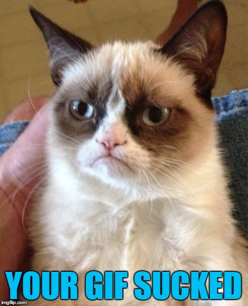 Grumpy Cat Meme | YOUR GIF SUCKED | image tagged in memes,grumpy cat | made w/ Imgflip meme maker