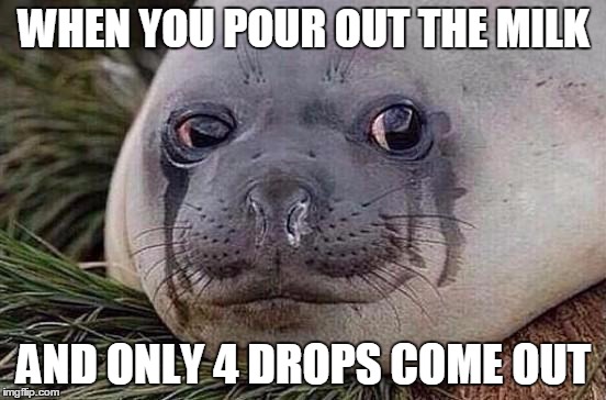 Sad Seal | WHEN YOU POUR OUT THE MILK; AND ONLY 4 DROPS COME OUT | image tagged in sad seal | made w/ Imgflip meme maker