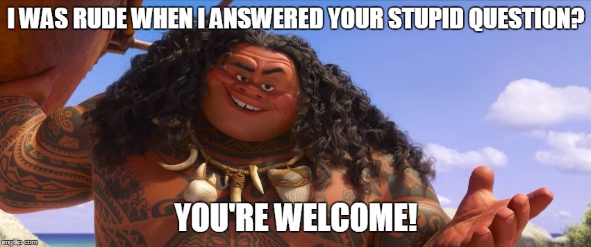 Moana Maui Welcome | I WAS RUDE WHEN I ANSWERED YOUR STUPID QUESTION? YOU'RE WELCOME! | image tagged in moana maui welcome | made w/ Imgflip meme maker