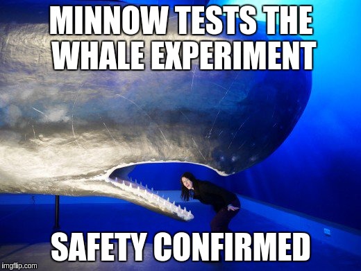 MINNOW TESTS THE WHALE EXPERIMENT; SAFETY CONFIRMED | made w/ Imgflip meme maker