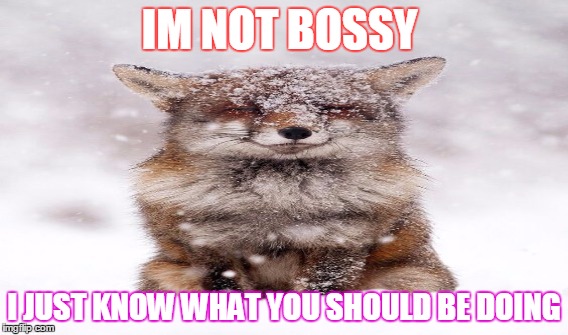 Not bossy | IM NOT BOSSY; I JUST KNOW WHAT YOU SHOULD BE DOING | image tagged in im not bossy,know you did | made w/ Imgflip meme maker