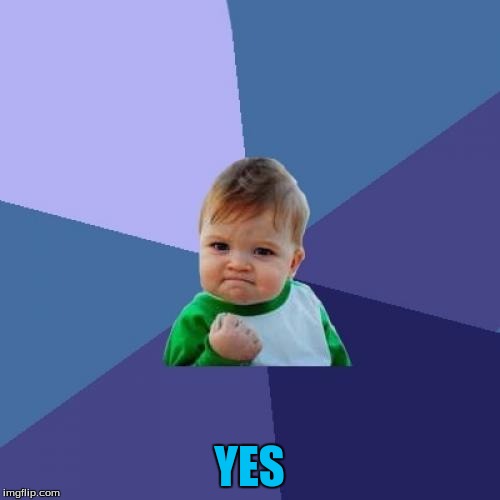 Success Kid Meme | YES | image tagged in memes,success kid | made w/ Imgflip meme maker