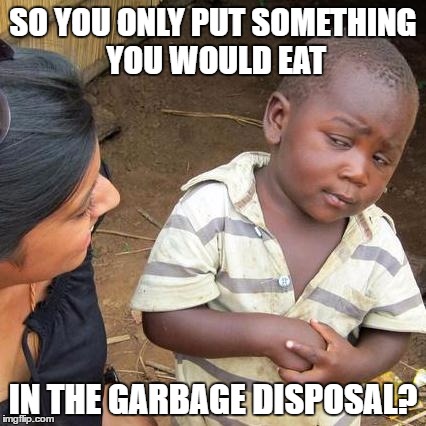 Third World Skeptical Kid | SO YOU ONLY PUT SOMETHING YOU WOULD EAT; IN THE GARBAGE DISPOSAL? | image tagged in memes,third world skeptical kid | made w/ Imgflip meme maker