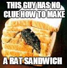 cooking lessons. | THIS GUY HAS NO CLUE HOW TO MAKE; A RAT SANDWICH | image tagged in rat sanga,waiter,food,memes | made w/ Imgflip meme maker