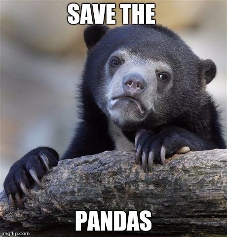 Confession Bear | SAVE THE; PANDAS | image tagged in memes,confession bear | made w/ Imgflip meme maker