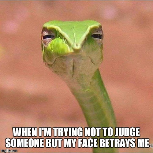 WHEN I'M TRYING NOT TO JUDGE SOMEONE BUT MY FACE BETRAYS ME | image tagged in snake | made w/ Imgflip meme maker