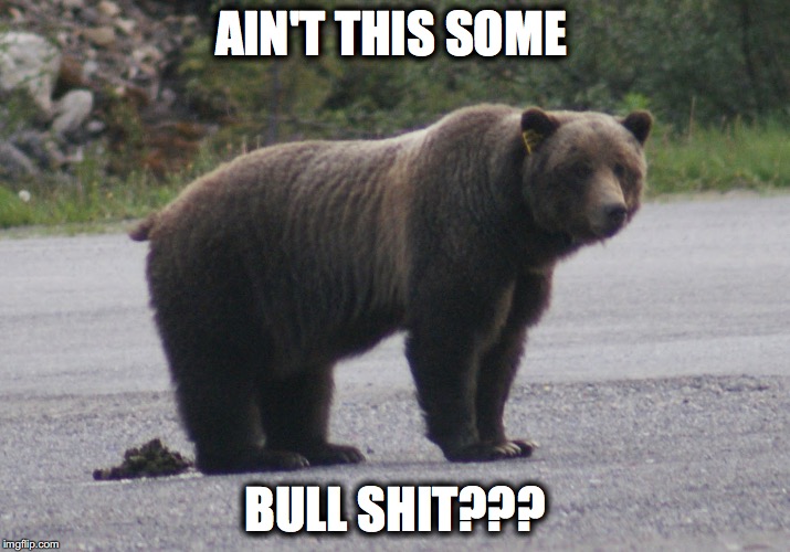 Aintthissomebearshit | AIN'T THIS SOME; BULL SHIT??? | image tagged in aintthissomebearshit | made w/ Imgflip meme maker