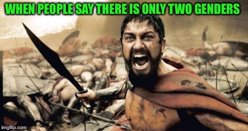 Sparta Leonidas Meme | WHEN PEOPLE SAY THERE IS ONLY TWO GENDERS | image tagged in memes,sparta leonidas | made w/ Imgflip meme maker
