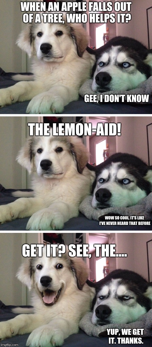 Bad pun dogs | WHEN AN APPLE FALLS OUT OF A TREE, WHO HELPS IT? GEE, I DON'T KNOW; THE LEMON-AID! WOW SO COOL. IT'S LIKE I'VE NEVER HEARD THAT BEFORE; GET IT? SEE, THE.... YUP, WE GET IT. THANKS. | image tagged in bad pun dogs | made w/ Imgflip meme maker