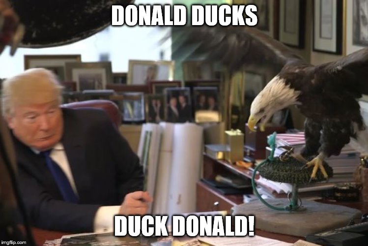 Donald Ducks | DONALD DUCKS DUCK DONALD! | made w/ Imgflip meme maker