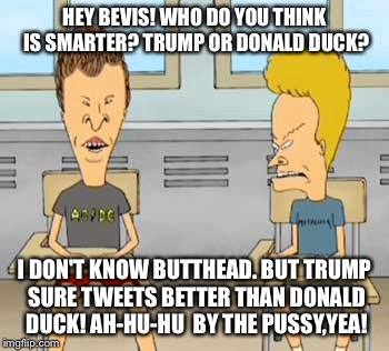 HEY BEVIS! WHO DO YOU THINK IS SMARTER? TRUMP OR DONALD DUCK? I DON'T KNOW BUTTHEAD. BUT TRUMP SURE TWEETS BETTER THAN DONALD DUCK! AH-HU-HU | made w/ Imgflip meme maker