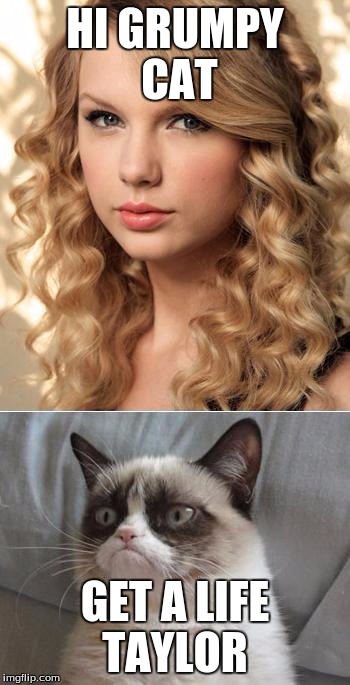Grumpy Cat says "no" to Taylor Swift as NYC Global Welcome Ambas | HI GRUMPY CAT; GET A LIFE TAYLOR | image tagged in grumpy cat says no to taylor swift as nyc global welcome ambas | made w/ Imgflip meme maker