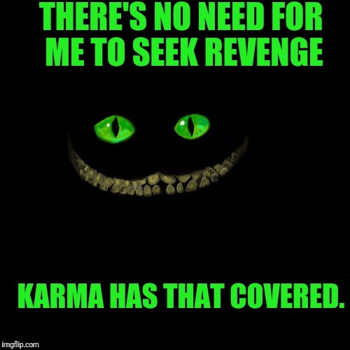 image tagged in karma,karma's a bitch | made w/ Imgflip meme maker