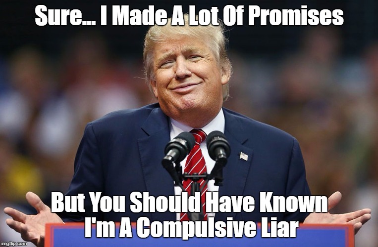 Sure... I Made A Lot Of Promises But You Should Have Known I'm A Compulsive Liar | made w/ Imgflip meme maker