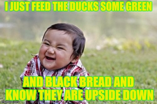 Evil Toddler | I JUST FEED THE DUCKS SOME GREEN; AND BLACK BREAD AND KNOW THEY ARE UPSIDE DOWN | image tagged in memes,evil toddler | made w/ Imgflip meme maker