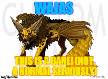 wajas bane (custom) | WAJAS; THIS IS A BANE! (NOT A NORMAL SERIOUSLY) | image tagged in wajas | made w/ Imgflip meme maker