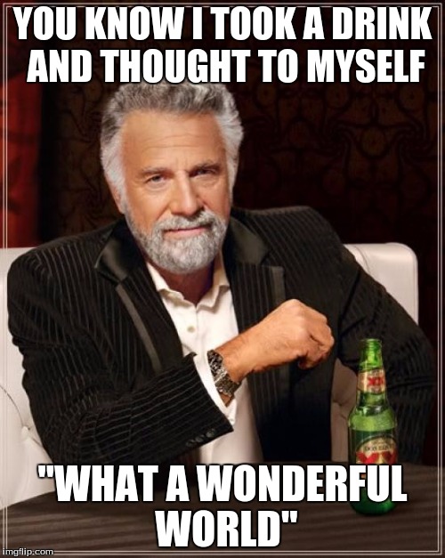 The Most Interesting Man In The World | YOU KNOW I TOOK A DRINK AND THOUGHT TO MYSELF; "WHAT A WONDERFUL WORLD" | image tagged in memes,the most interesting man in the world | made w/ Imgflip meme maker