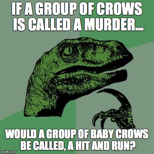 Philosoraptor Meme | IF A GROUP OF CROWS IS CALLED A MURDER... WOULD A GROUP OF BABY CROWS BE CALLED, A HIT AND RUN? | image tagged in memes,philosoraptor | made w/ Imgflip meme maker